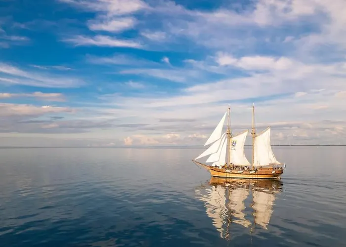 Starvillas B 202 Sisaeltaeae Loppusiivouksen